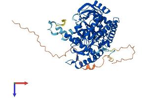 AlphaFold protein structure predicition of Human Recombinant SPTLC2 Protein, UniprotID O15270