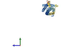 AlphaFold protein structure predicition of Human Recombinant STX2 Protein, UniprotID P32856