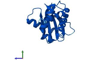 AlphaFold protein structure predicition of Human Recombinant AP2S1 Protein, UniprotID P53680