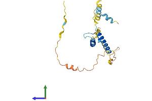 AlphaFold protein structure predicition of Human Recombinant HAND2 Protein, UniprotID P61296