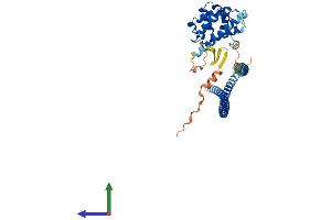 AlphaFold protein structure predicition of Human Recombinant RUFY3 Protein, UniprotID Q7L099