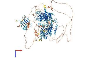 AlphaFold protein structure predicition of Mouse Recombinant Ttf2 Protein, UniprotID Q5NC05
