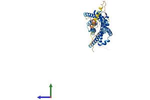 AlphaFold protein structure predicition of Human Recombinant CMKLR1 Protein, UniprotID Q99788
