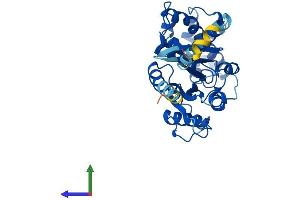 AlphaFold protein structure predicition of Human Recombinant GNAQ Protein, UniprotID P50148