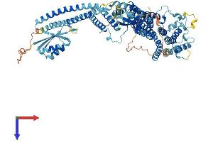 AlphaFold protein structure predicition of Human Recombinant ATP6V0A2 Protein, UniprotID Q9Y487