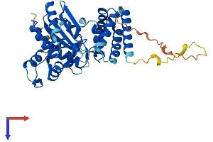 AlphaFold protein structure predicition of Mouse Recombinant Tent5c Protein, UniprotID Q5SSF7