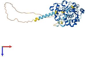 AlphaFold protein structure predicition of Human Recombinant ST3GAL5 Protein, UniprotID Q9UNP4