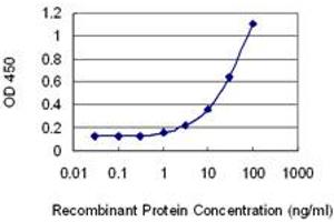 Detection limit for recombinant GST tagged DGAT2 is 0. (DGAT2 anticorps  (AA 289-388))