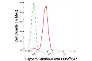 anti-Glycerol Kinase (GK) antibody