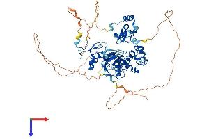 AlphaFold protein structure predicition of Mouse Recombinant Chfr Protein, UniprotID Q810L3