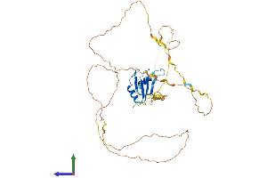 AlphaFold protein structure predicition of Mouse Recombinant Rbmxl1 Protein, UniprotID Q91VM5