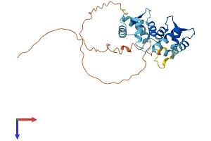 AlphaFold protein structure predicition of Human Recombinant KCNIP2 Protein, UniprotID Q9NS61