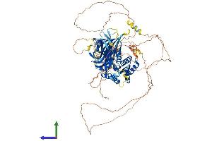 AlphaFold protein structure predicition of Human Recombinant PACS2 Protein, UniprotID Q86VP3