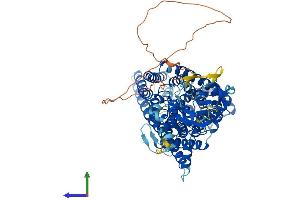 AlphaFold protein structure predicition of Mouse Recombinant Clcn7 Protein, UniprotID O70496