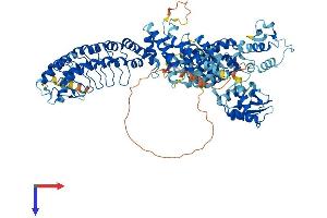 AlphaFold protein structure predicition of Mouse Recombinant Hace1 Protein, UniprotID Q3U0D9