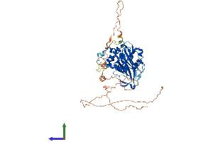 AlphaFold protein structure predicition of Human Recombinant USP17L2 Protein, UniprotID Q6R6M4