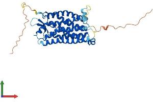 AlphaFold protein structure predicition of Mouse Recombinant C5ar1 Protein, UniprotID P30993