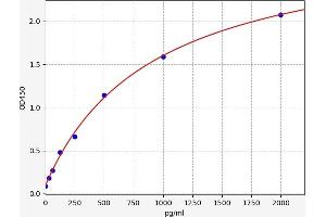 Interleukin 19 (IL19) ELISA Kit