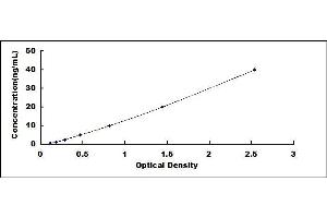 Typical standard curve (ErbB2/Her2 Kit ELISA)