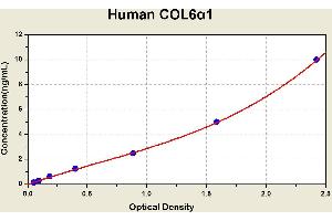 Diagramm of the ELISA kit to detect Human COL6alpha 1with the optical density on the x-axis and the concentration on the y-axis.