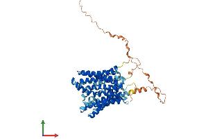 AlphaFold protein structure predicition of Mouse Recombinant Slc16a8 Protein, UniprotID O35308