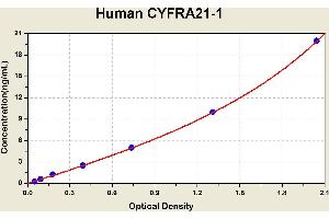 Diagramm of the ELISA kit to detect Human CYFRA21-1with the optical density on the x-axis and the concentration on the y-axis. (CYFRA21.1 Kit ELISA)