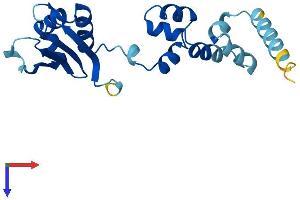 AlphaFold protein structure predicition of Human Recombinant FBXO36 Protein, UniprotID Q8NEA4