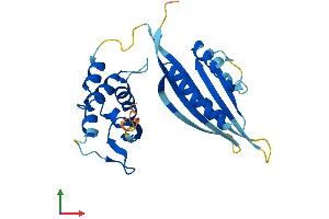 AlphaFold protein structure predicition of Human Recombinant KCTD6 Protein, UniprotID Q8NC69