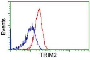 Flow cytometric Analysis of Hela cells, using anti-TRIM2 antibody (ABIN2453851), (Red), compared to a nonspecific negative control antibody, (Blue). (TRIM2 anticorps  (AA 1-100, AA 645-744))