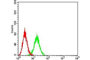 Flow cytometric analysis of Ramos cells using CD102 mouse mAb (green) and negative control (red). (ICAM2 anticorps  (AA 25-223))