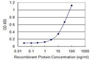 anti-Kinesin Family Member 16B (KIF16B) (AA 65-174) antibody