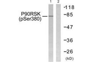Western blot analysis of extracts from 293 cells treated with PMA 125ng/ml 30', using p90 RSK (Phospho-Ser380) Antibody.