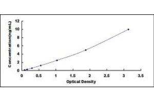Typical standard curve (ROS1 Kit ELISA)
