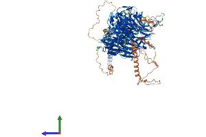 AlphaFold protein structure predicition of Human Recombinant STXBP5 Protein, UniprotID Q5T5C0