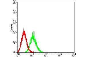 Flow cytometric analysis of K562 cells using ALDOA mouse mAb (green) and negative control (red). (ALDOA anticorps  (AA 9-145))