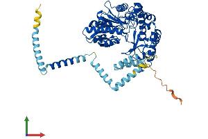 AlphaFold protein structure predicition of Human Recombinant SGPL1 Protein, UniprotID O95470