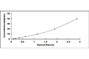 Typical standard curve (HSPB2 Kit ELISA)