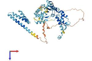 AlphaFold protein structure predicition of Mouse Recombinant Katna1 Protein, UniprotID Q9WV86