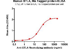 ELISA plate pre-coated by 1 μg/mL (100 μL/well) Human BTLA , His tagged protein (ABIN7092696, ABIN7272196 and ABIN7272197) can bind Anti-BTLA Neutralizing antibody ABIN7093071 and ABIN7272601 in a linear range of 16-80 ng/mL.