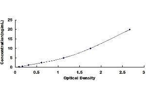 Typical standard curve (IGLL5 Kit ELISA)