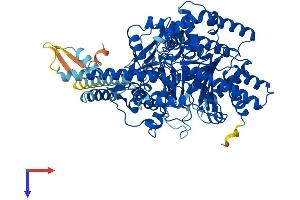 AlphaFold protein structure predicition of Human Recombinant CPT1B Protein, UniprotID Q92523