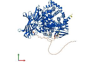 AlphaFold protein structure predicition of Human Recombinant ERAP1 Protein, UniprotID Q9NZ08