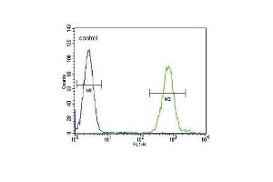 SLC8A1 Antibody (Center) (ABIN652886 and ABIN2842573) flow cytometric analysis of HL-60 cells (right histogram) compared to a negative control cell (left histogram).