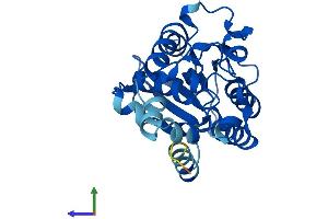 AlphaFold protein structure predicition of Mouse Recombinant Pgam2 Protein, UniprotID O70250