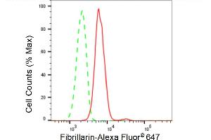 Flow cytometric analysis of Fibrillarin expression in HepG2 cells using Fibrillarin antibody (ABIN7798599), 1:2,000). (Recombinant Fibrillarin anticorps)