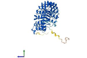 AlphaFold protein structure predicition of Mouse Recombinant Fbxl2 Protein, UniprotID Q8BH16