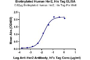 Immobilized Biotinylated Human Her2, His Tag at 0.