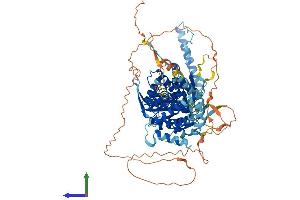 AlphaFold protein structure predicition of Human Recombinant BBS10 Protein, UniprotID Q8TAM1