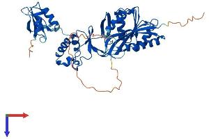 AlphaFold protein structure predicition of Mouse Recombinant Trmt12 Protein, UniprotID Q8BG71
