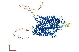 AlphaFold protein structure predicition of Human Recombinant SLC6A11 Protein, UniprotID P48066